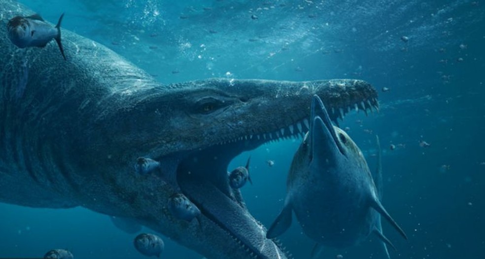 Pliossauros (ilustrados nesta imagem) tinham velocidade e poder para derrubar outros grandes répteis marinhos — Foto: BBC