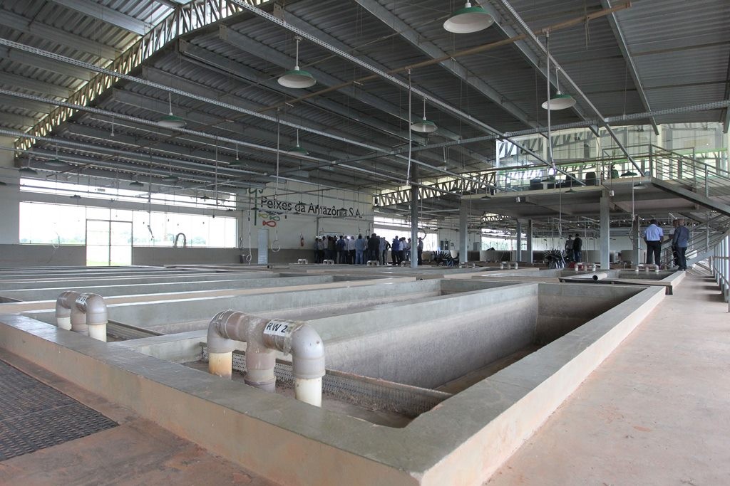 Após três tentativas, Justiça do AC determina novo leilão da Peixes da Amazônia S.A