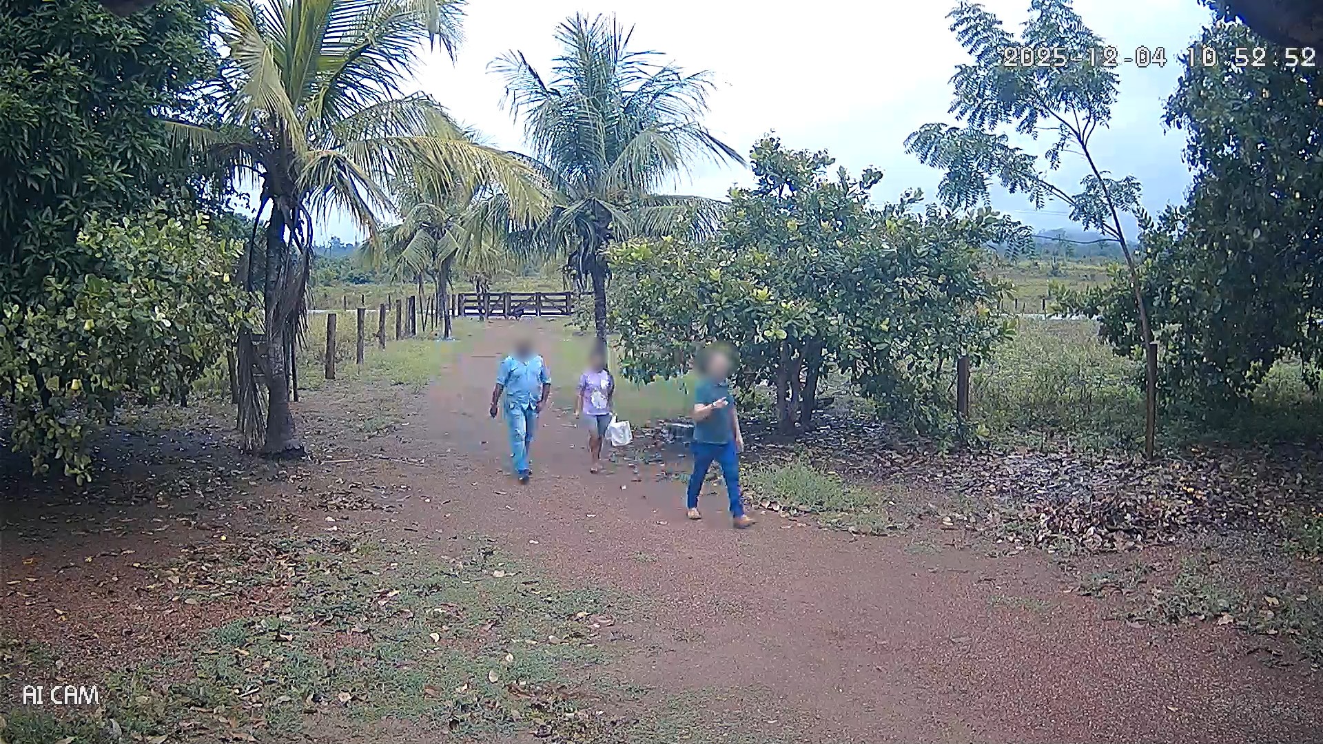 Dupla que se passava por policiais tenta roubar 36 animais de fazenda e é presa no Sul de RR