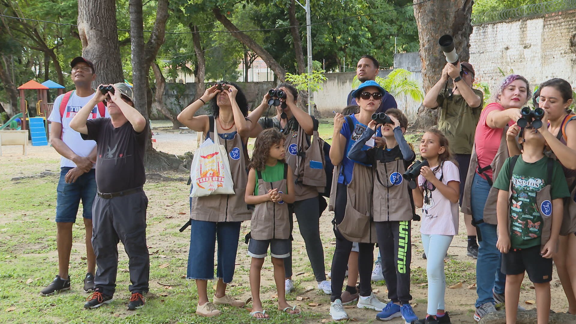 Projeto no Recife propõe observação de pássaros como forma de conscientizar para a conservação ambiental nas cidades