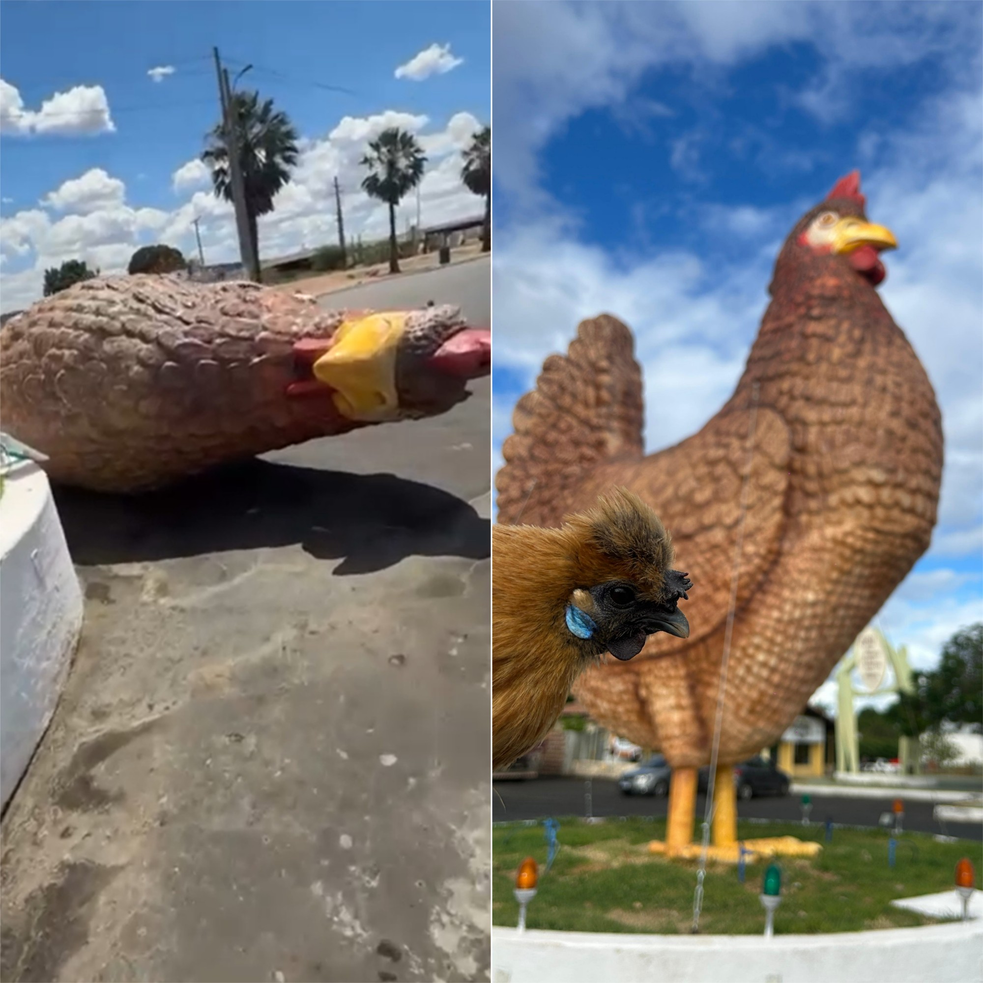 Ventania derruba monumento de galinha gigante às margens da BR-304 no RN