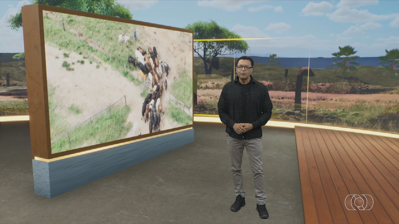 VÍDEOS: Jornal do Campo de domingo, 15 de março de 2026