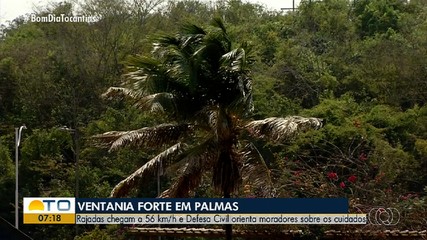 Defesa Civil orienta moradores de Palmas após rajadas de ventos chegarem a 56 km/h