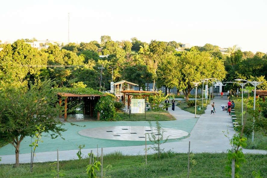 Parque receberá mudas de ipês em homenagem às vítimas de feminicídio após árvores serem arrancadas de área em Cuiabá