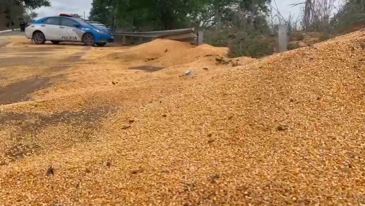 Carreta bitrem tomba e espalha 10 toneladas de milho na BR-356, em Itaperuna