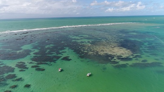 G1 Alagoas: notícias e vídeos da TV Gazeta