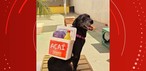 Amora usou uma mochila de cuba de açaí. — Foto: Karina Barros/Divulgação