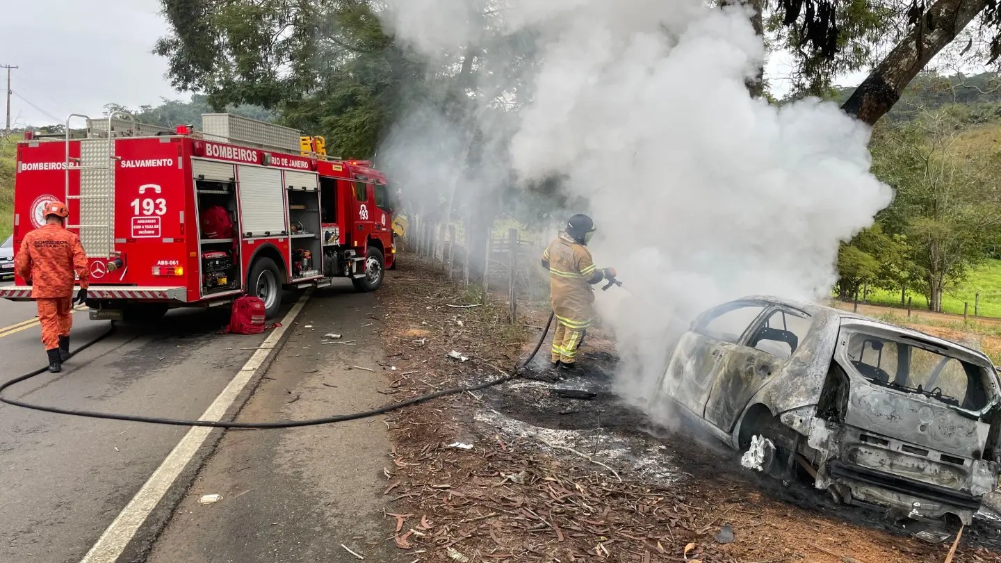 Motorista perde controle, bate em árvore e carro pega fogo na RJ-220 em Porciúncula