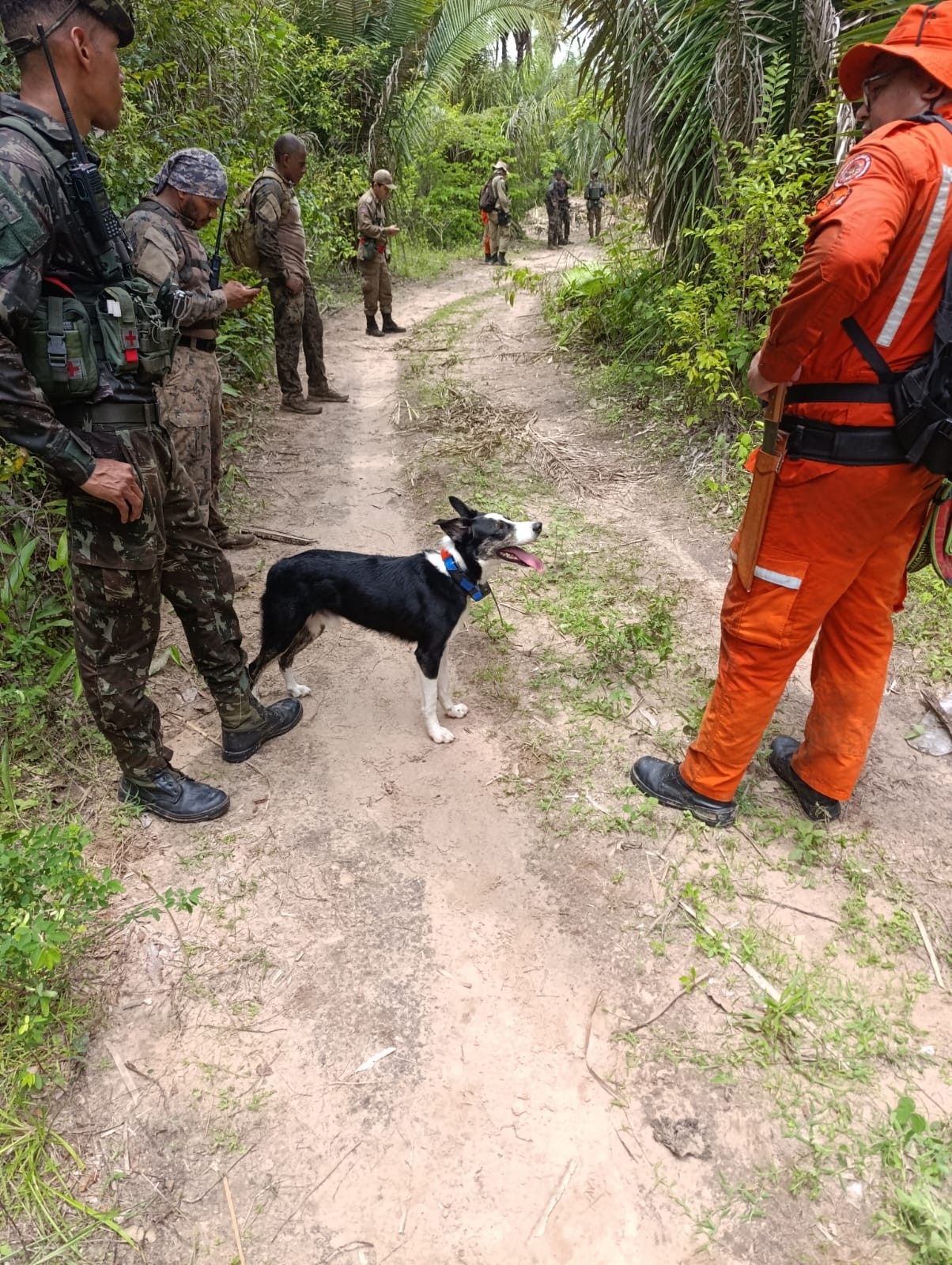 Buscas continuam 42 dias após desaparecimento de irmãos no Maranhão 