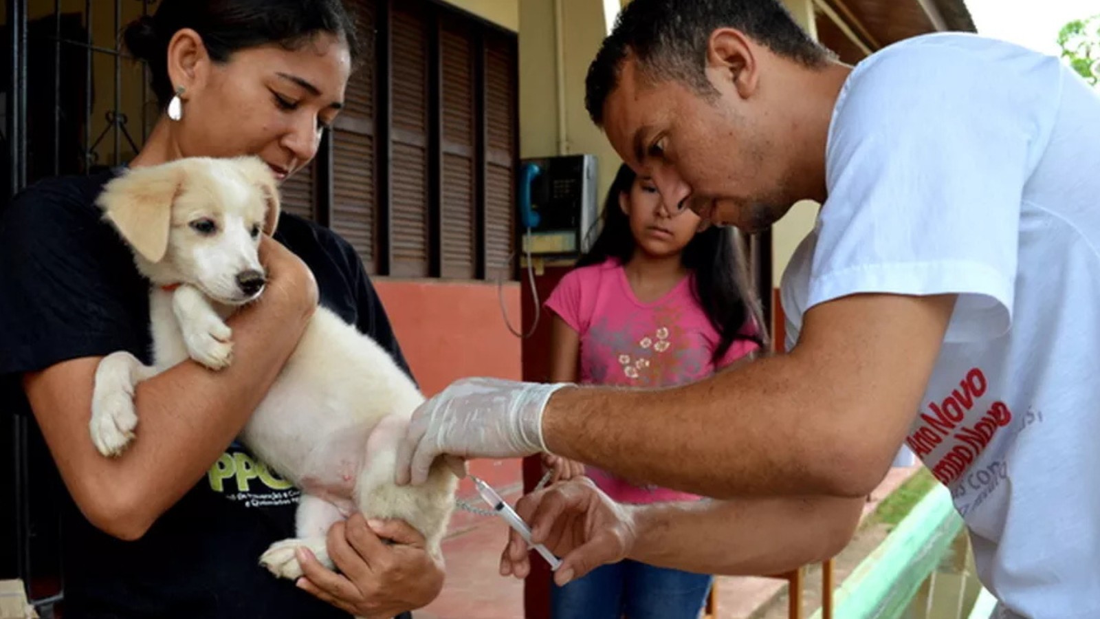 Cobertura da vacina contra a raiva em cães está 20% abaixo do recomendado em Teresina; capital terá mutirão neste sábado (16)