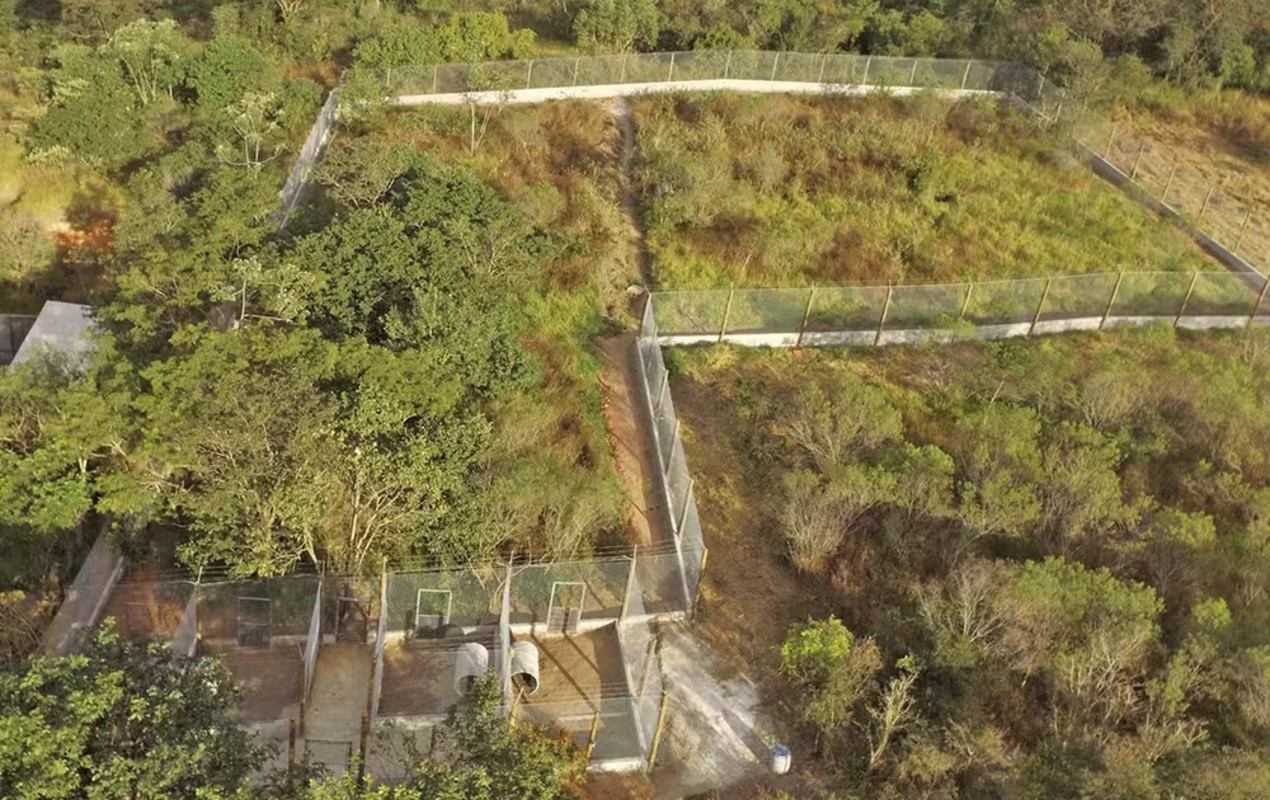 Em meio à disputa judicial, ambientalistas pedem que terreno da Mata Ciliar seja classificado como zona de preservação ambiental