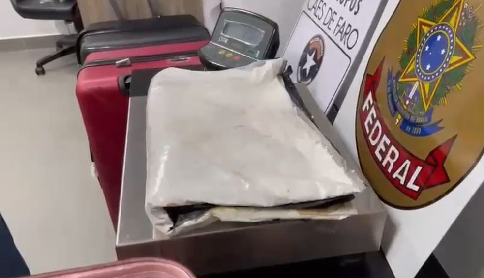 Apreensão de cocaína em fevereiro de 2024, que gerou operação da Polícia Federal — Foto: Divulgação/Polícia Federal