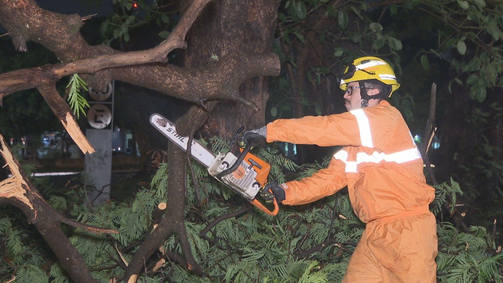 Bombeiros usaram motosserras para cortar árvores que caíram por causa das fortes chuvas no Plano Piloto, no DF — Foto: TV Globo/Reprodução