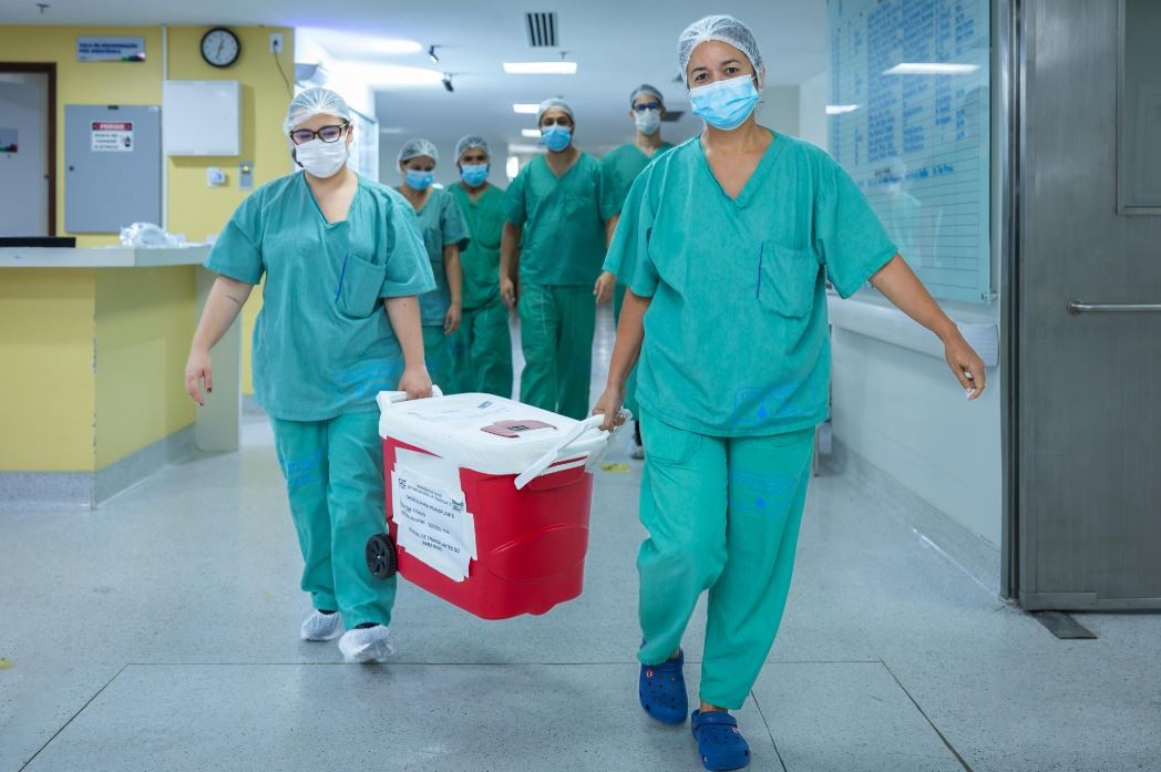 Maranhão é o primeiro estado do nordeste a realizar transplante hepático intervivos entre adultos