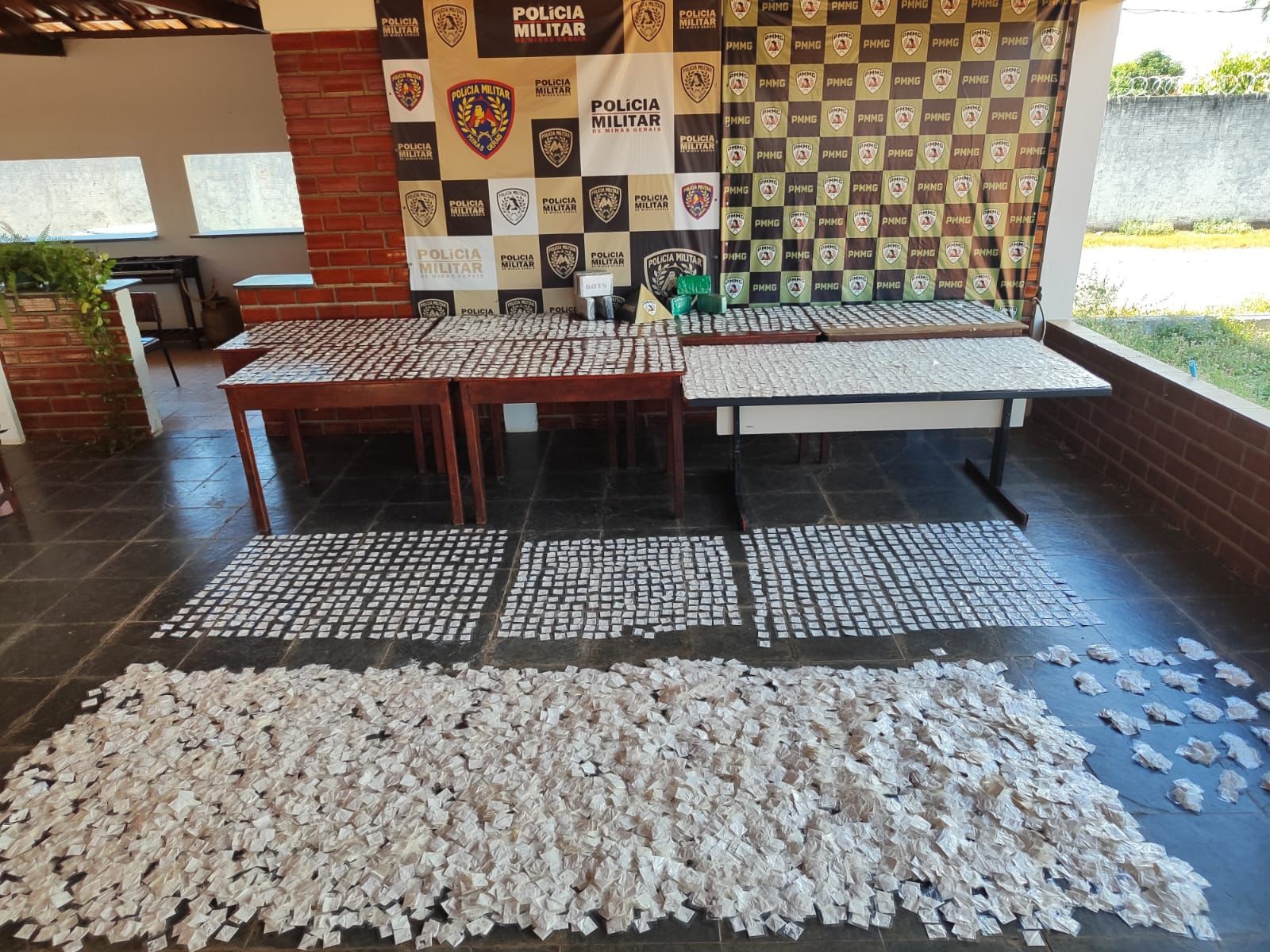 Mais de 10 mil papelotes de cocaína são apreendidos em área de mata, em Januária