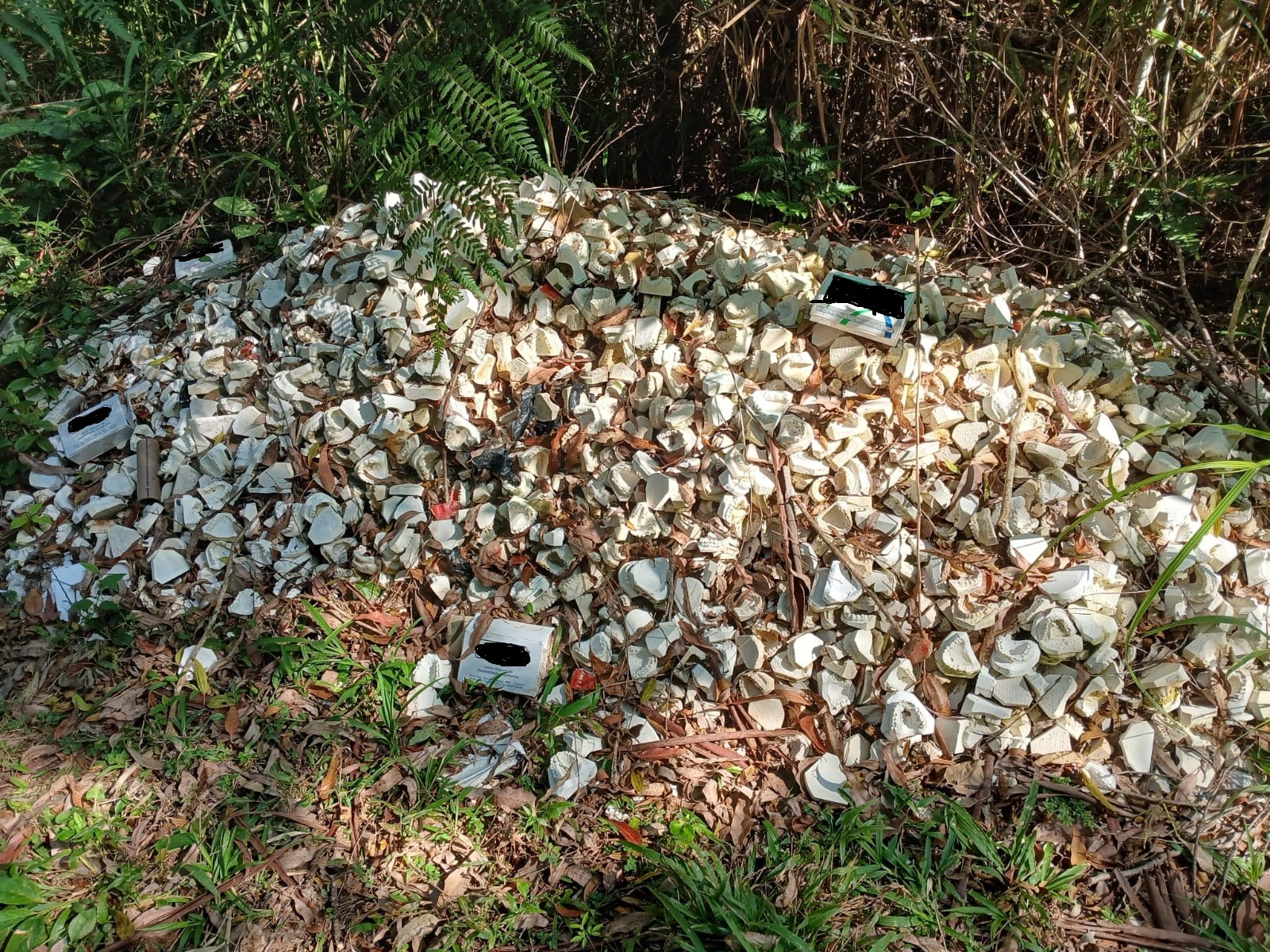 GCM encontra descarte irregular de material odontológico em Mogi das Cruzes