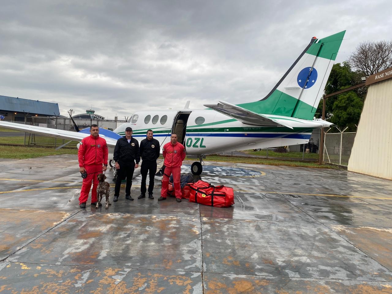 Cães do Corpo de Bombeiros do Paraná são enviados para ajudar nas buscas no Rio Grande do Sul