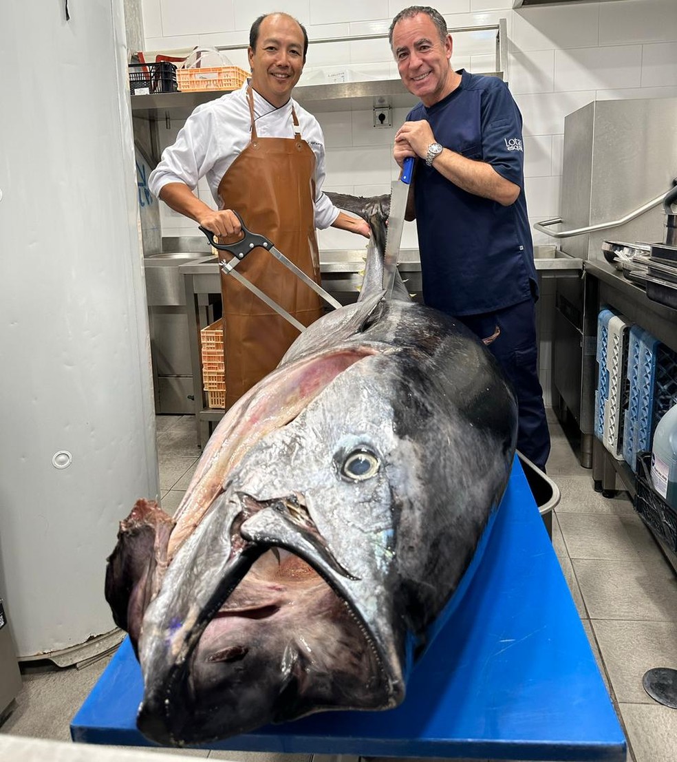 André Saburó e o Chef Vitor Sobral com um atum bluefin de 200kg — Foto: Arquivo pessoal