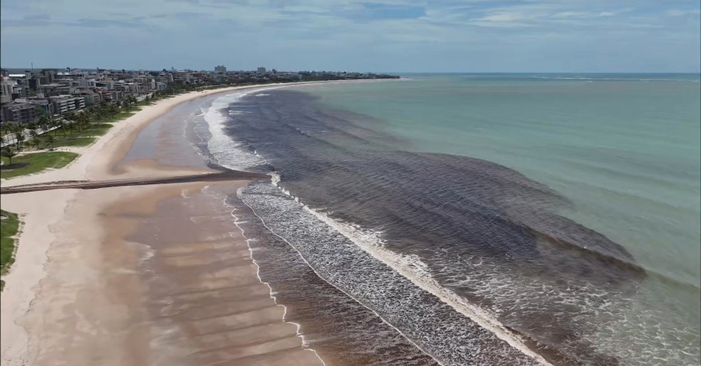 Mancha escura invade mar no Litoral da Paraíba — Foto: TV Cabo Branco/Reprodução