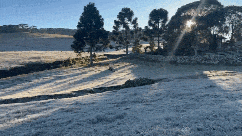 Onda de frio segue e RS tem 4º dia seguido com geada e temperatura negativa; veja a previsão