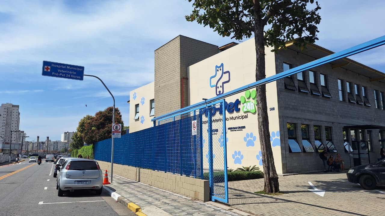 Cachorra morre após deixar Pró-Pet; hospital de Mogi das Cruzes é alvo de reclamações de tutores