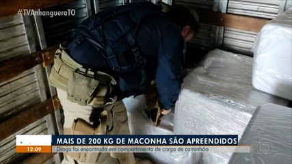 Mais de 200 kg de maconha são apreendidos dentro de caminhão em Gurupi