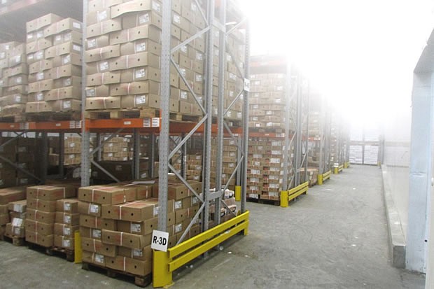 Mult Beef: como escolher um bom frigorífico?