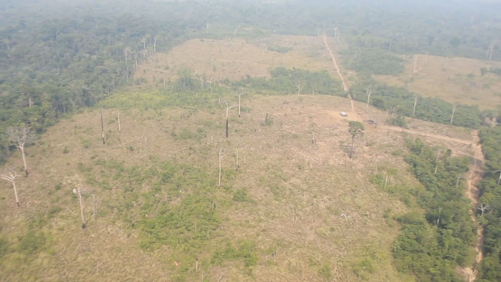 Área no sudoeste do Pará está dentro do território de duas terras indígenas, mas está invadida e desmatada ilegalmente — Foto: Reprodução/Jornal Hoje
