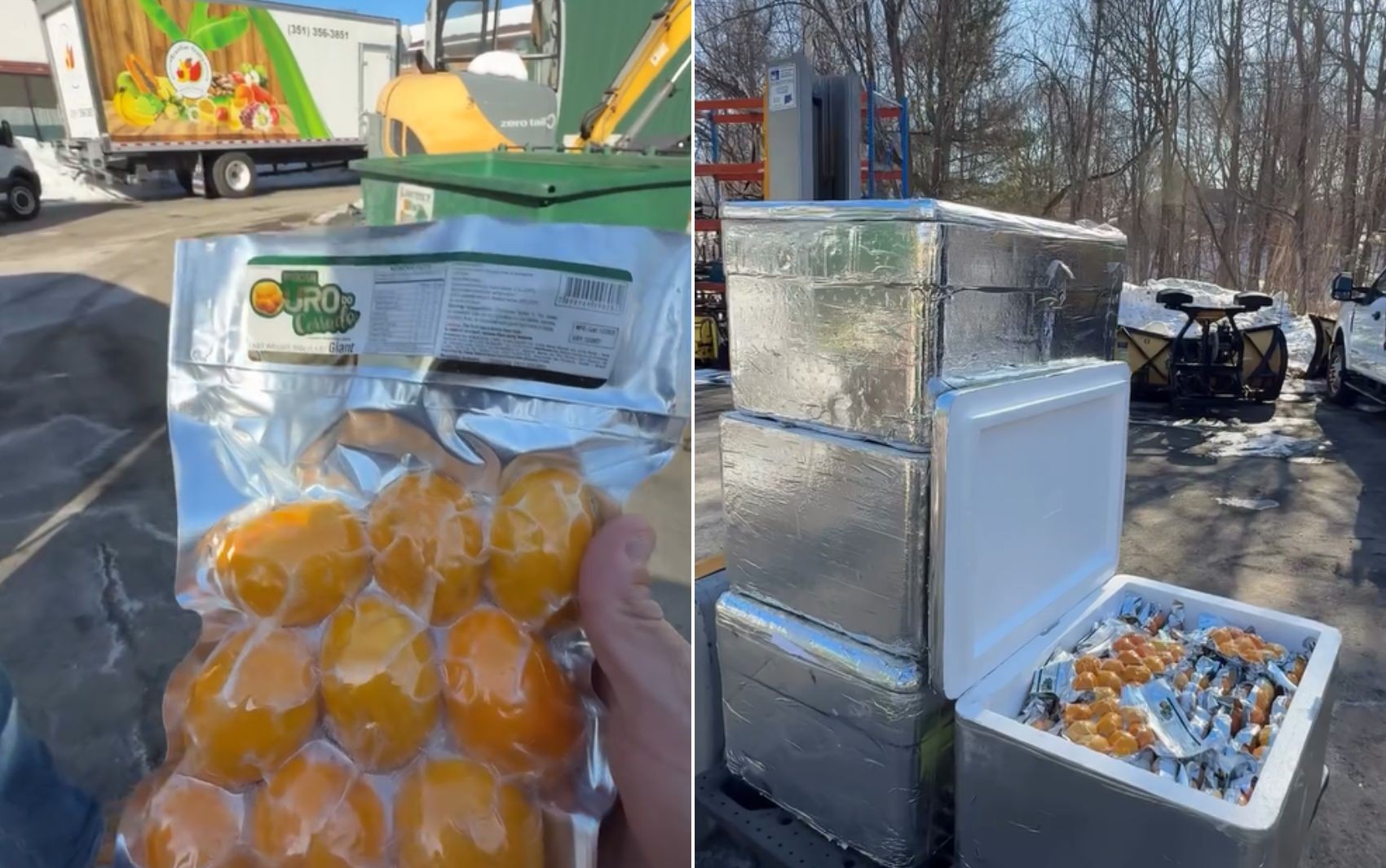 Goiano faz sucesso vendendo pequi nos Estados Unidos