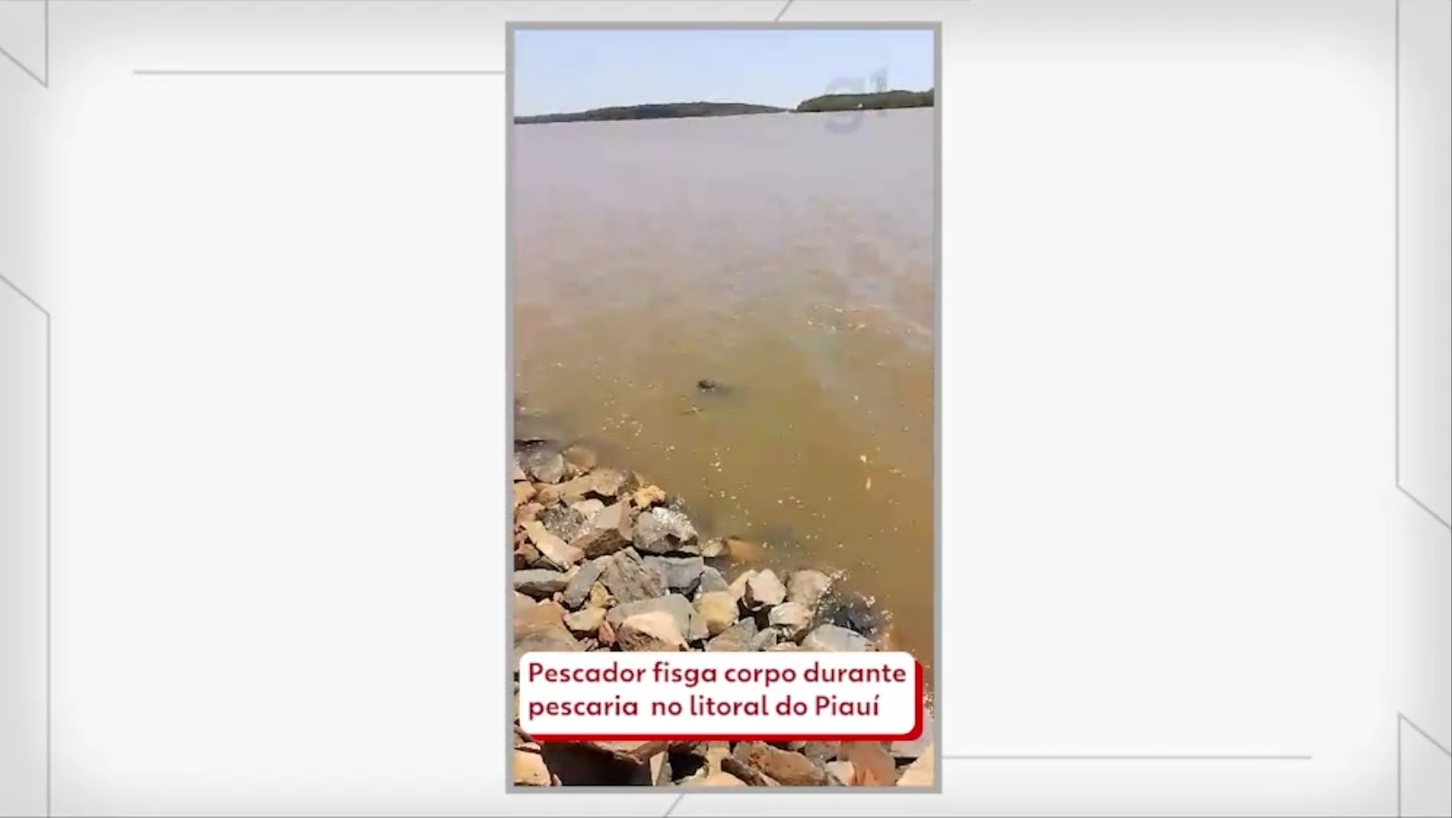 Vídeo: pescador fisga corpo em porto pesqueiro no litoral do Piauí