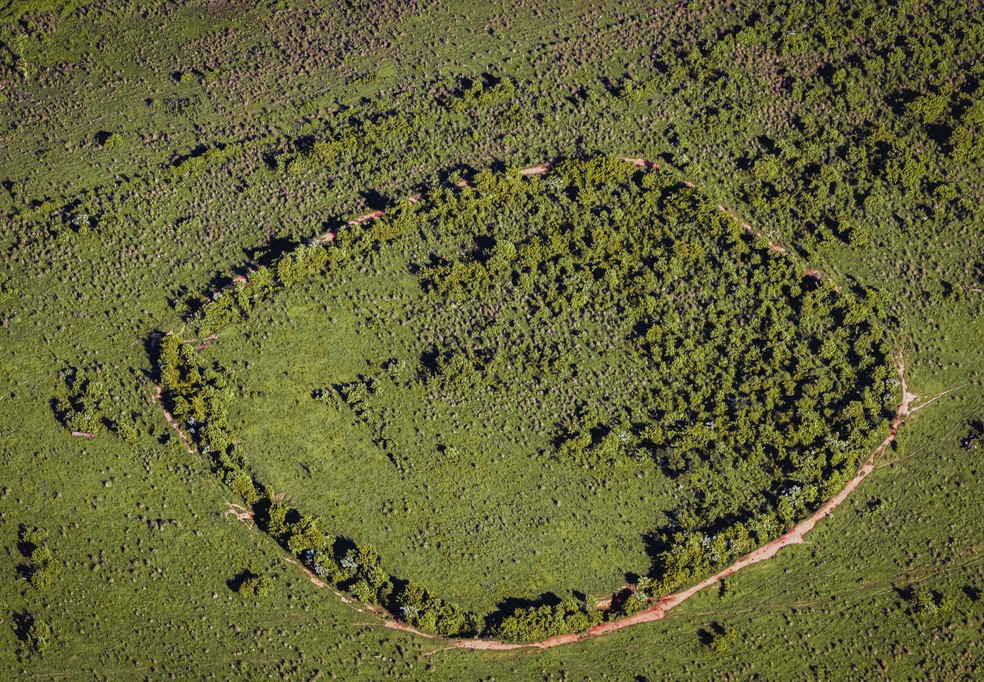 Imagens inéditas de geoglifos no Sul do Amazonas — Foto: Valter Calheiros