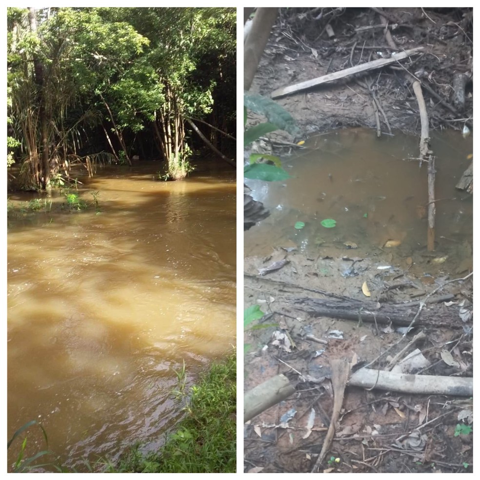 Igarapé Maravilha antes e depois da seca — Foto: Arquivo Pessoal