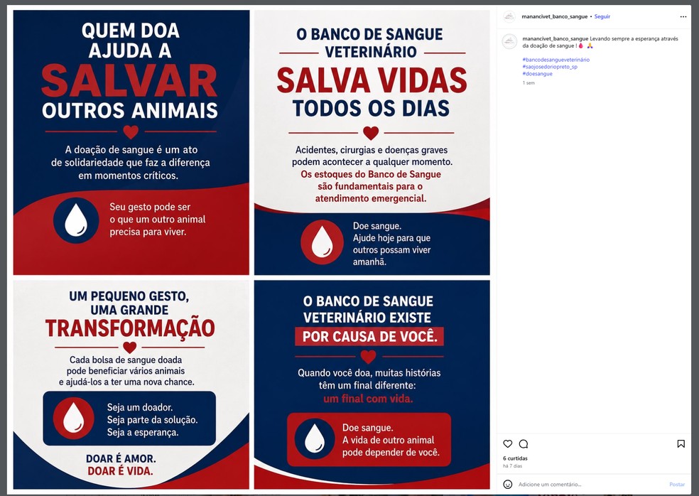 Publicação no Instagram da Manancivet, empresa ligada a Renato Franco — Foto: Reprodução/Redes Sociais