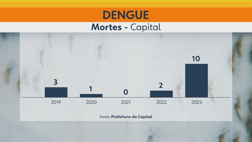 Número de mortes por dengue na capital saltou de 2 para 10 entre 2022 e 2023 — Foto: Reprodução/TV Globo