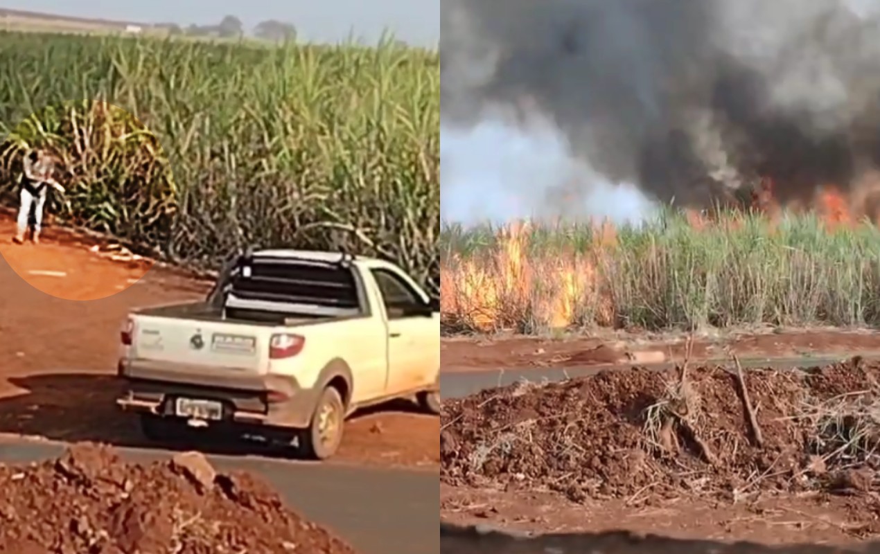 'Fogo contra fogo': entenda técnica utilizada por brigadista para combater incêndio no interior de SP