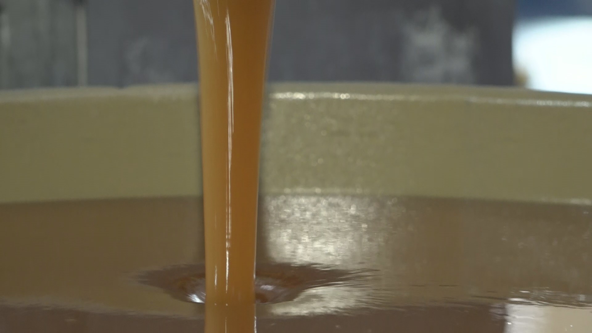 Você Não Tá Convidada pro Meu Bat Mitzvá!