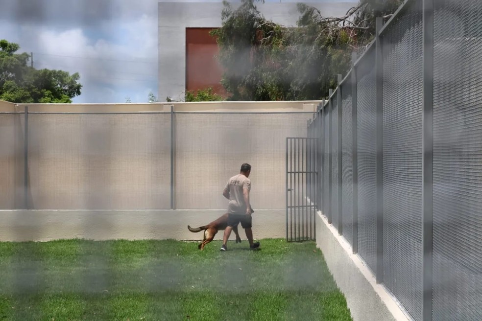 Dragon em treinamento com a Polícia Civil — Foto: Divulgação/Polícia Civil