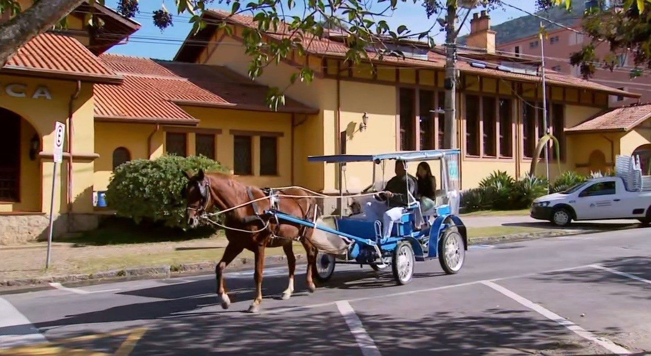 Audiência pública discute o fim das charretes para turistas em Poços de Caldas nesta quarta-feira