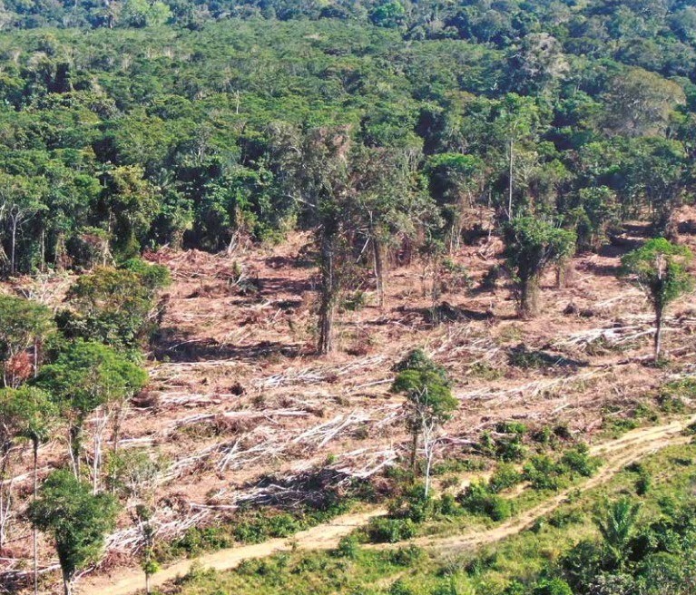 Governo de MT veta projeto que previa reclassificação de áreas da Amazônia e Cerrado