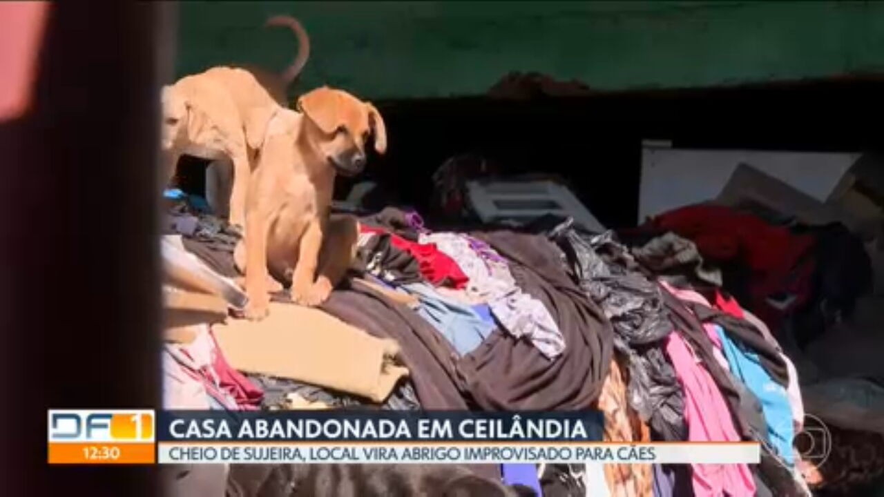 VÍDEOS: DF1 de sexta-feira, 27 de junho de 2025