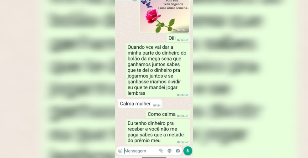 Conversa de aplicativo de mensagens usada como prova de processo de divisão de prêmio da Mega-Sena em Blumenau, SC — Foto: Reprodução