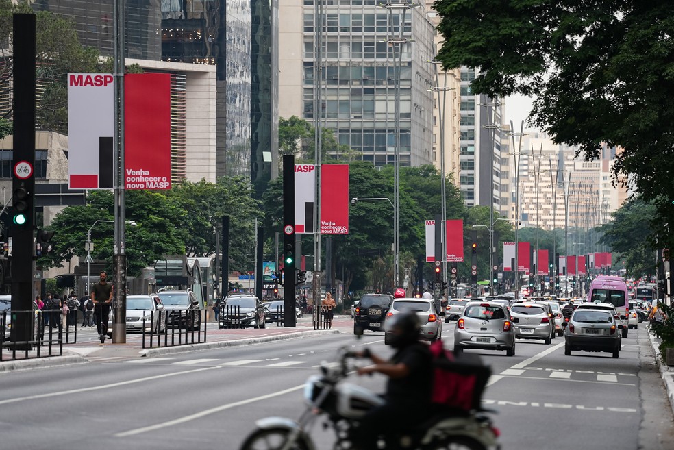 Placas espalhadas pela Avenida Paulista. — Foto: Fábio Tito/ g1