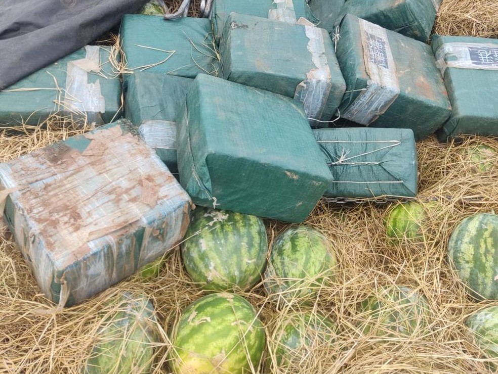 Operação em Porto Nacional apreende 565 kg de cocaína escondidos em caminhão que transportava melancias — Foto: Divulgação/FICCO-TO