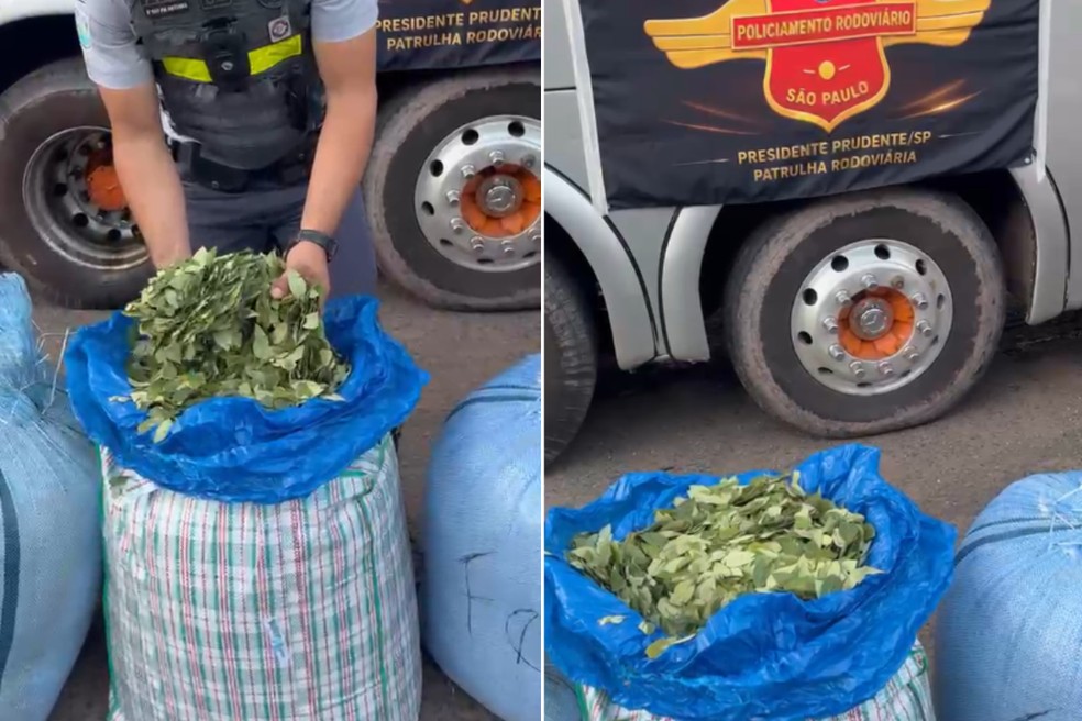Fardos com folhas de coca foram apreendidos na Raposo Tavares, em Presidente Prudente (SP) — Foto: Polícia Rodoviária/Divulgação
