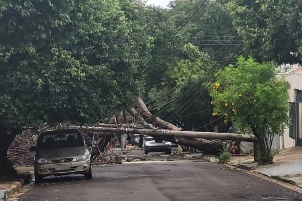 Árvore cai e derruba postes durante forte chuva em Presidente Prudente
