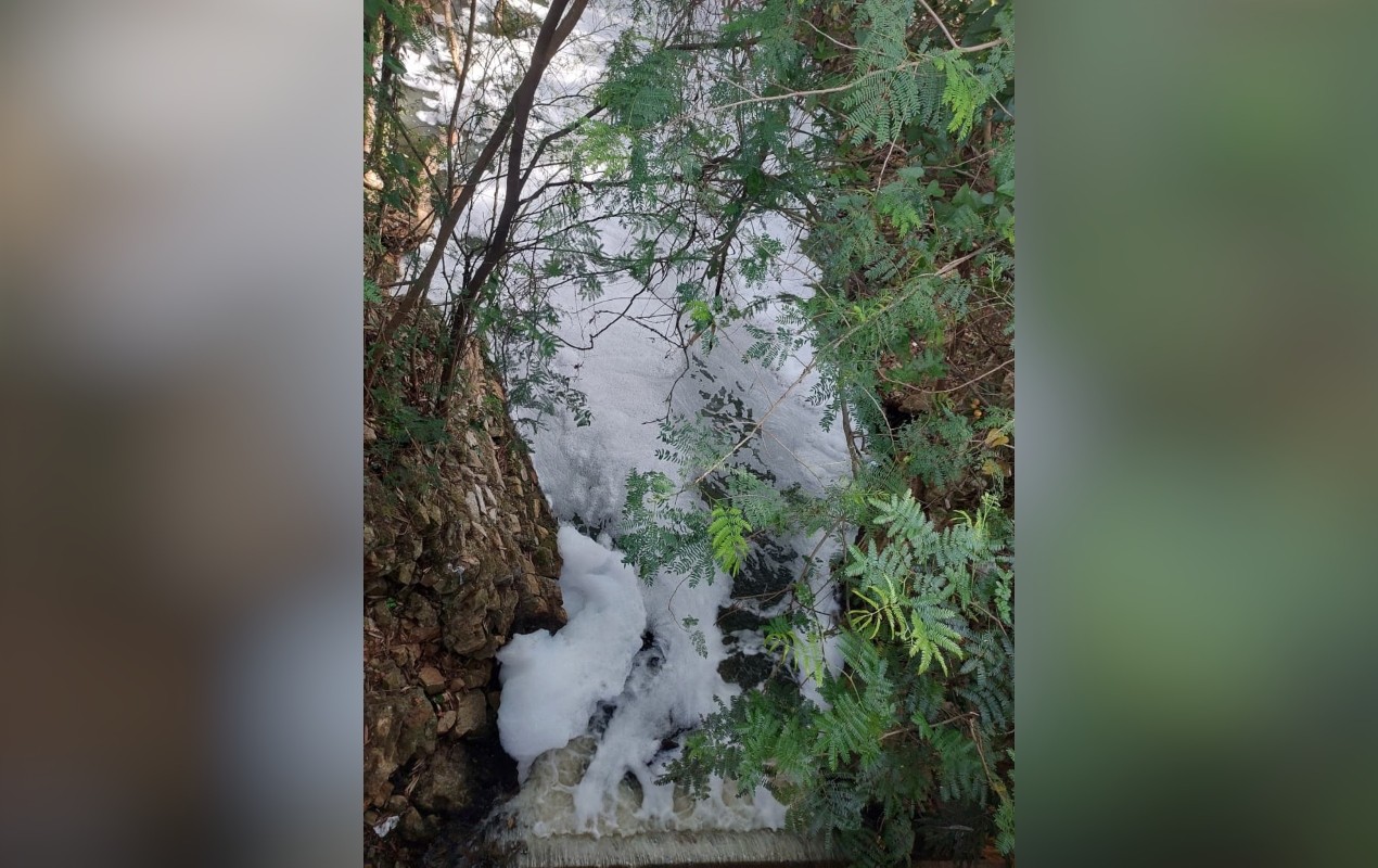 Morador flagra novamente a formação de espuma no Ribeirão do Chá em Itapetininga; vídeo