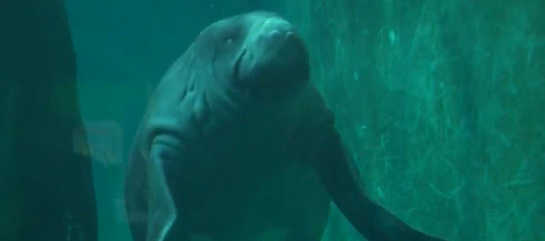 'Amazônia, Mãe da Ciência': veja todas as reportagens da série especial da EPTV