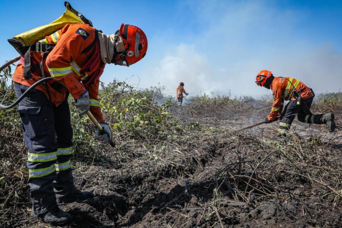 Mato Grosso decreta emergência ambiental e proíbe uso do fogo até novembro