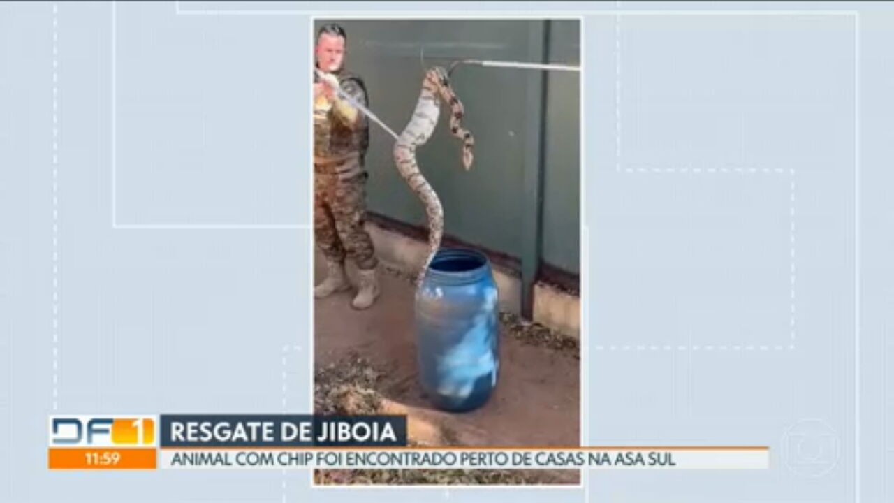 VÍDEOS: DF1 de quarta-feira, 2 de julho de 2025