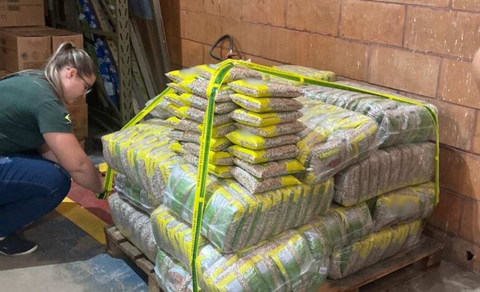 Ministério da Agricultura apreende 32 toneladas de arroz e feijão — Foto: Divulgação / Ministério da Agricultura